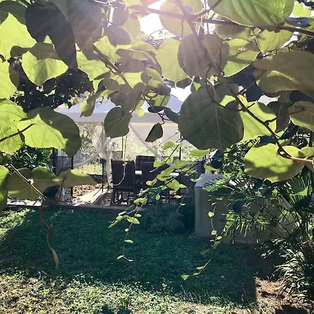 Apartman Garden Cozy *
